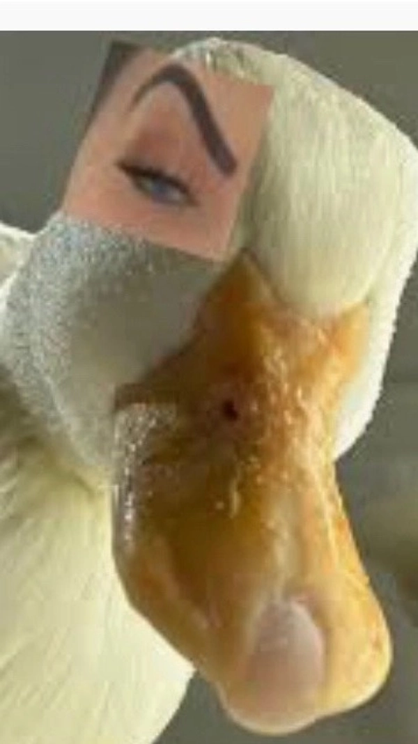Kaylen